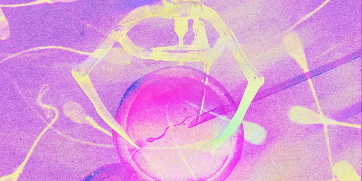 What’s Next for IVF Treatments